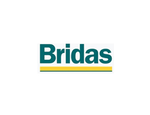 logo-bridas